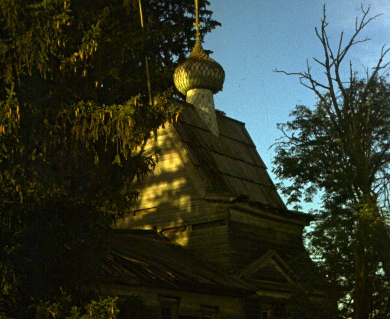 117.JPG
