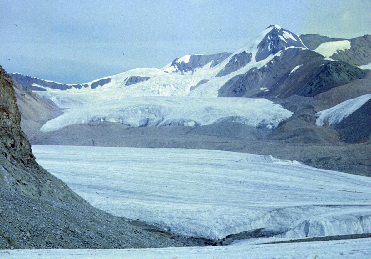 103.JPG
