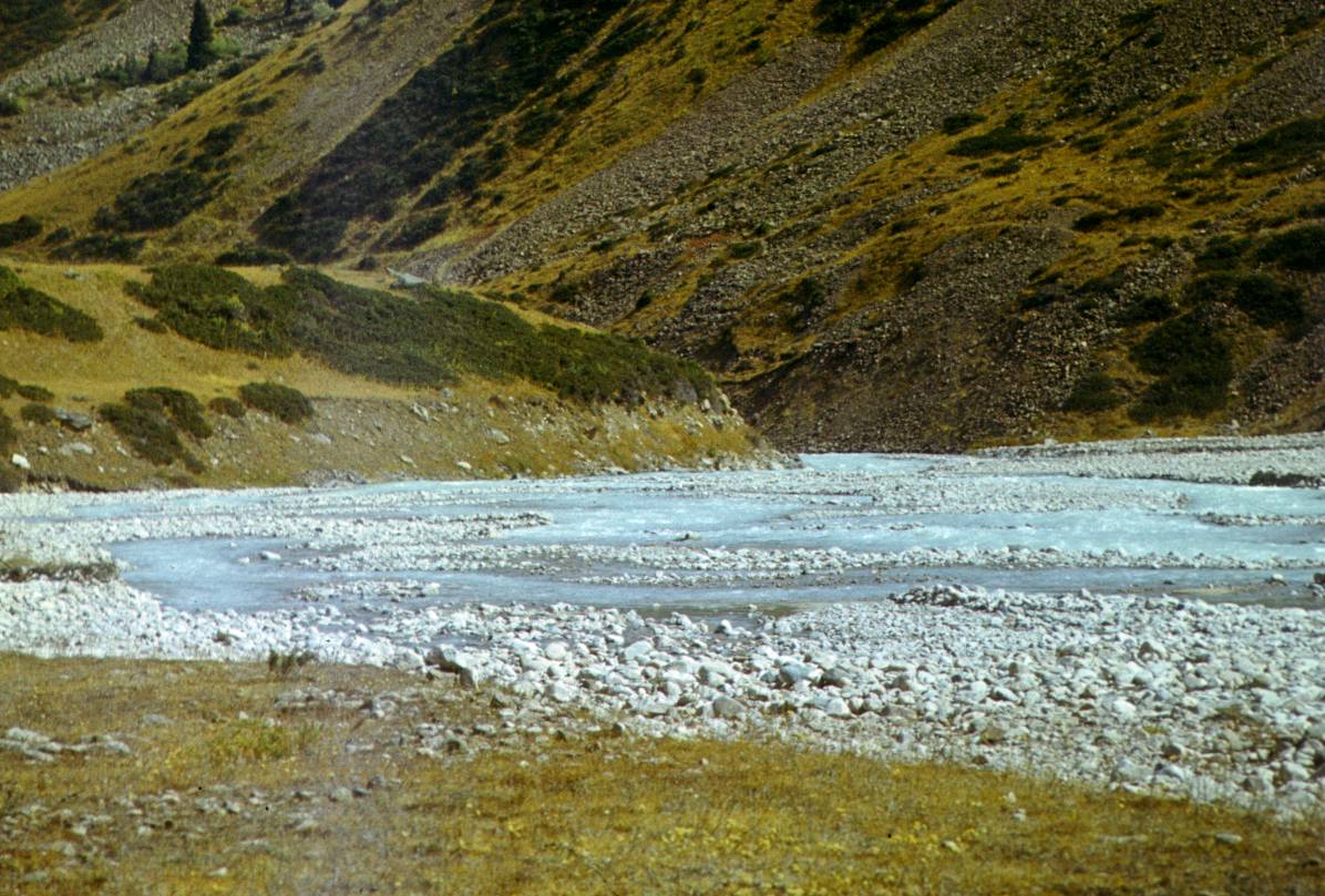 115a.JPG