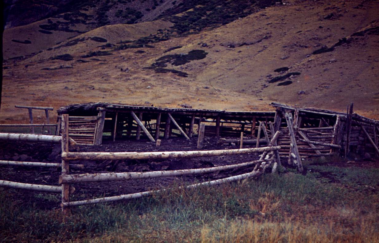 158.JPG