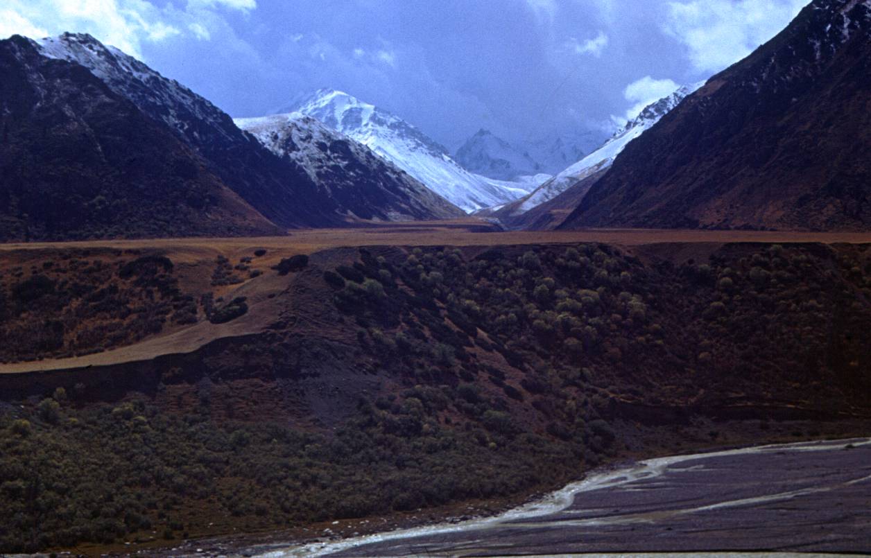 168.JPG