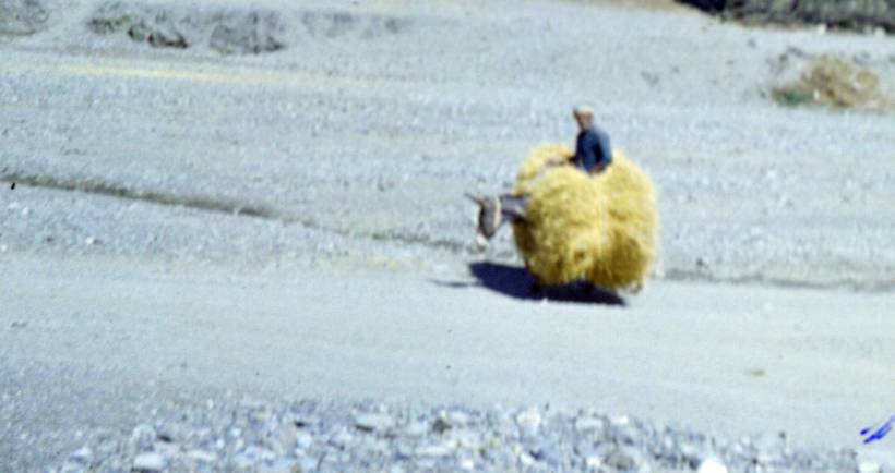 174.JPG