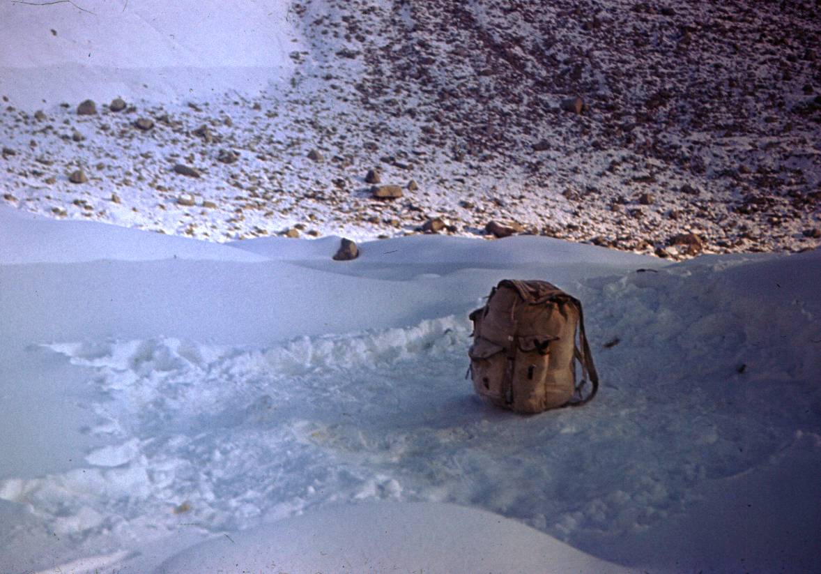 184.JPG
