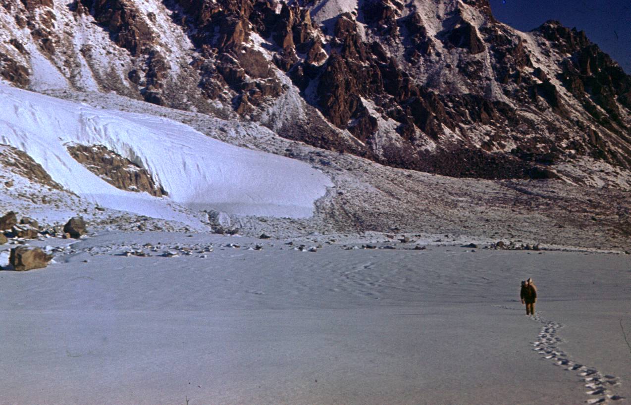194.JPG