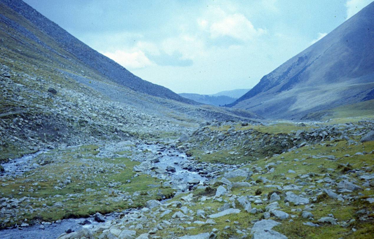 205.JPG
