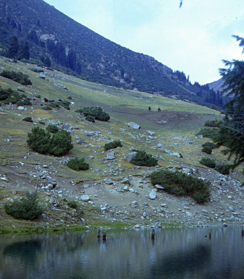 214.JPG