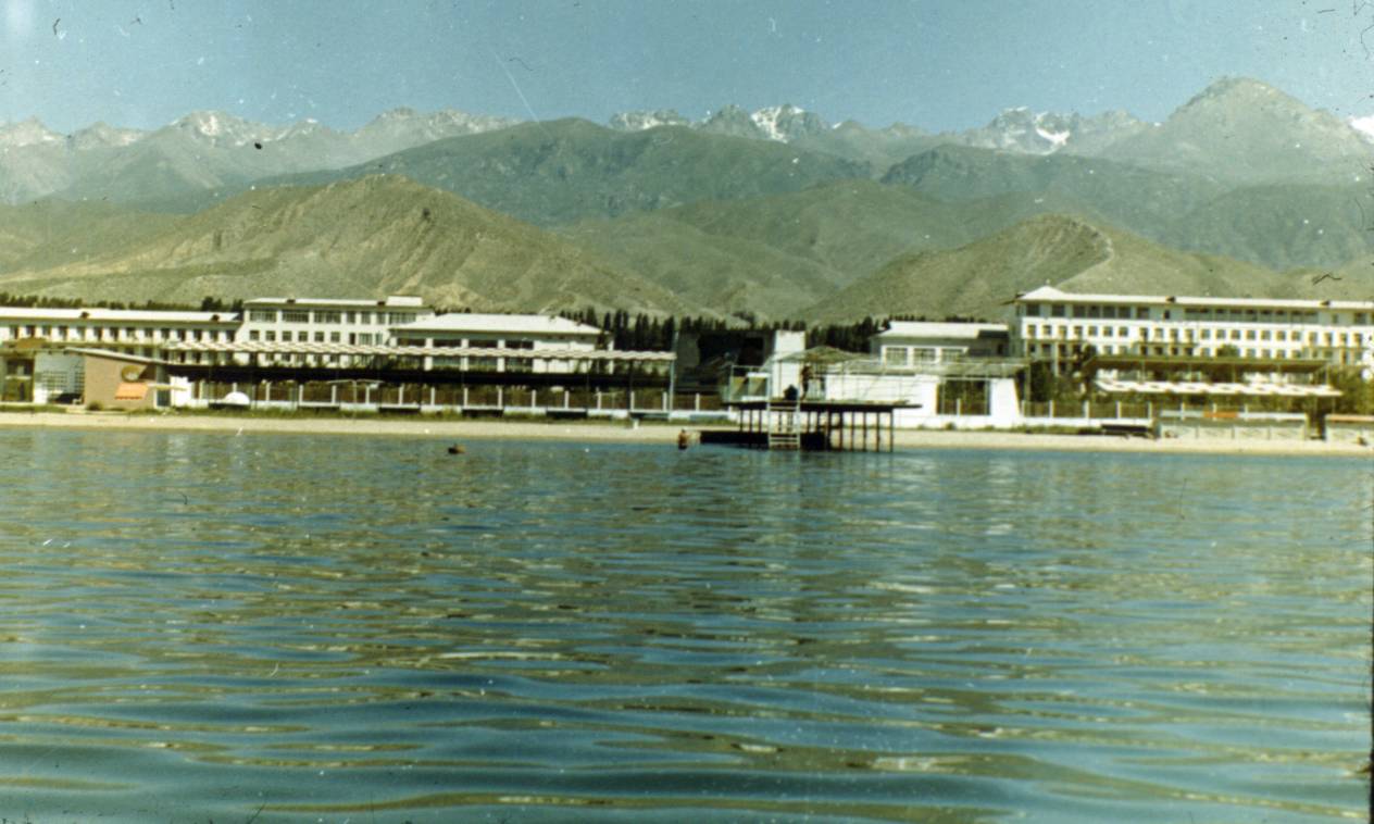 243.JPG