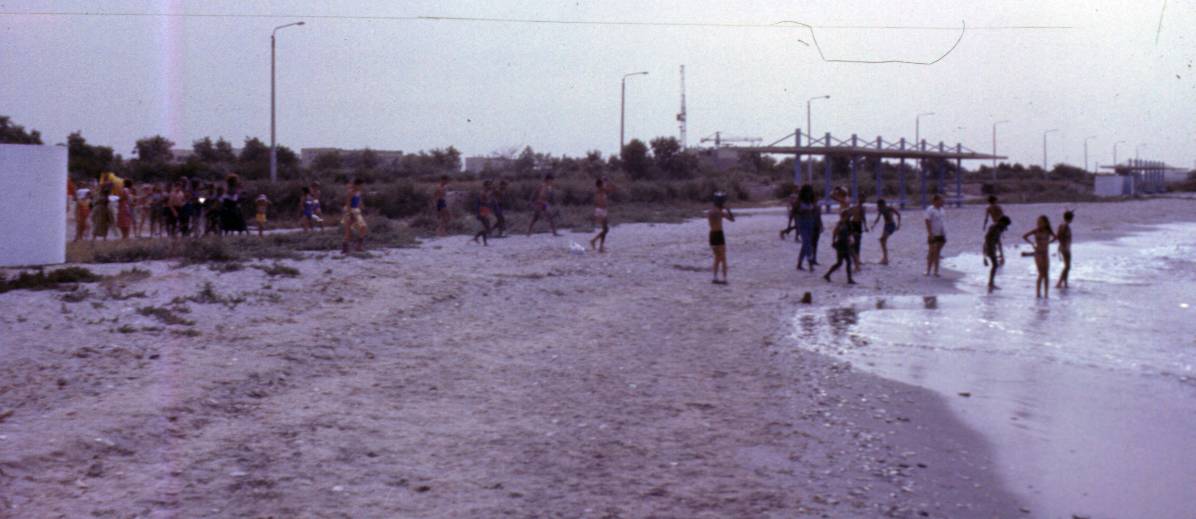 020.JPG