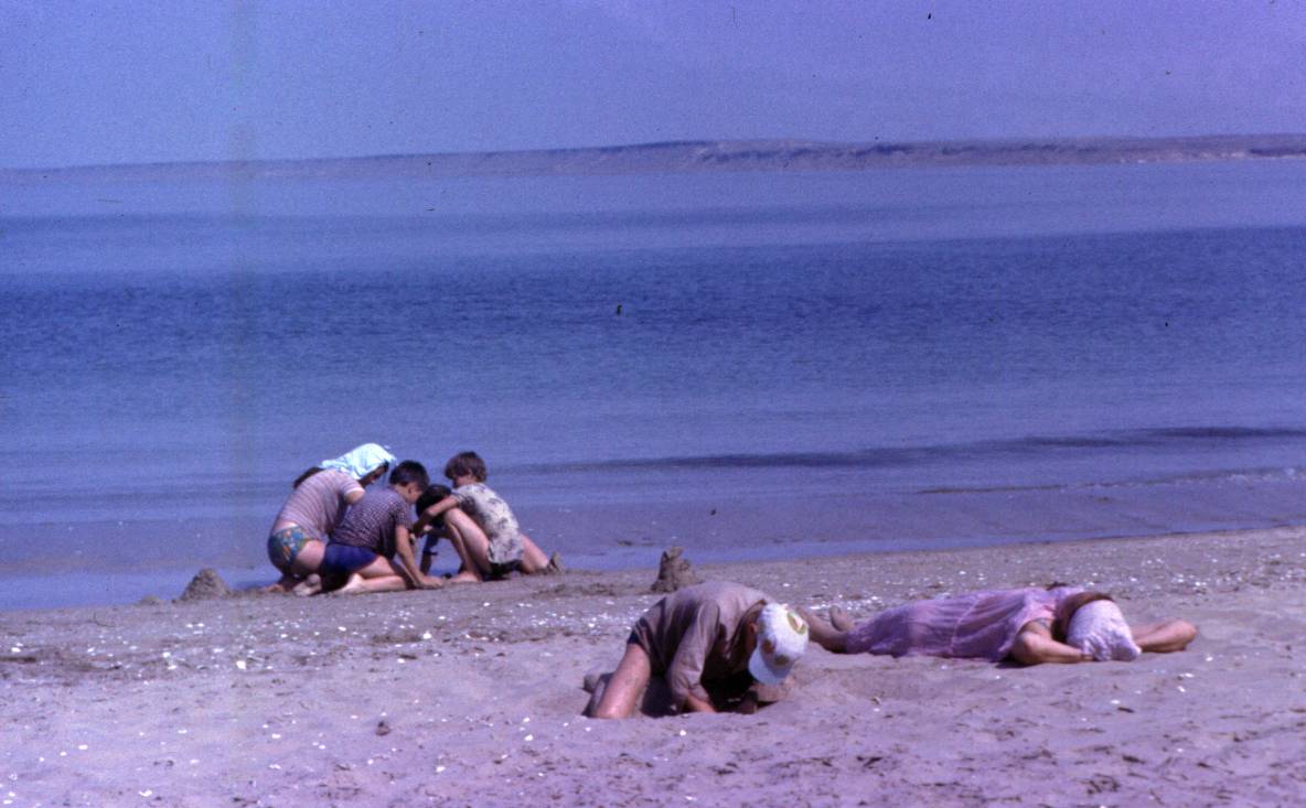 062.JPG