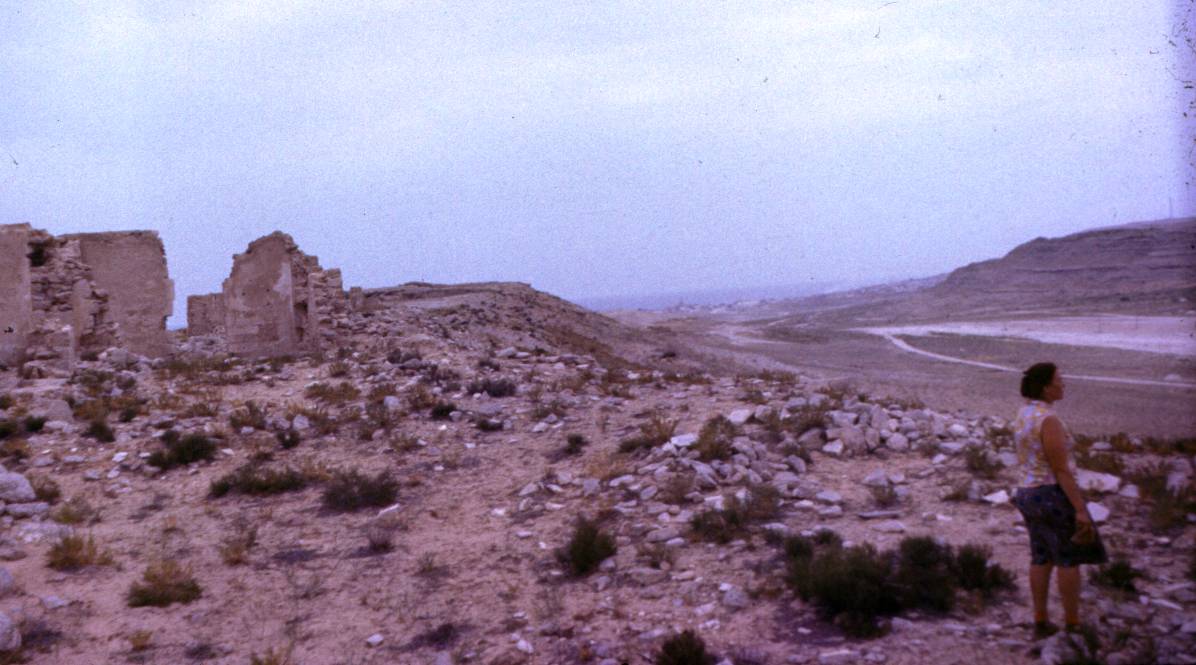 106.JPG