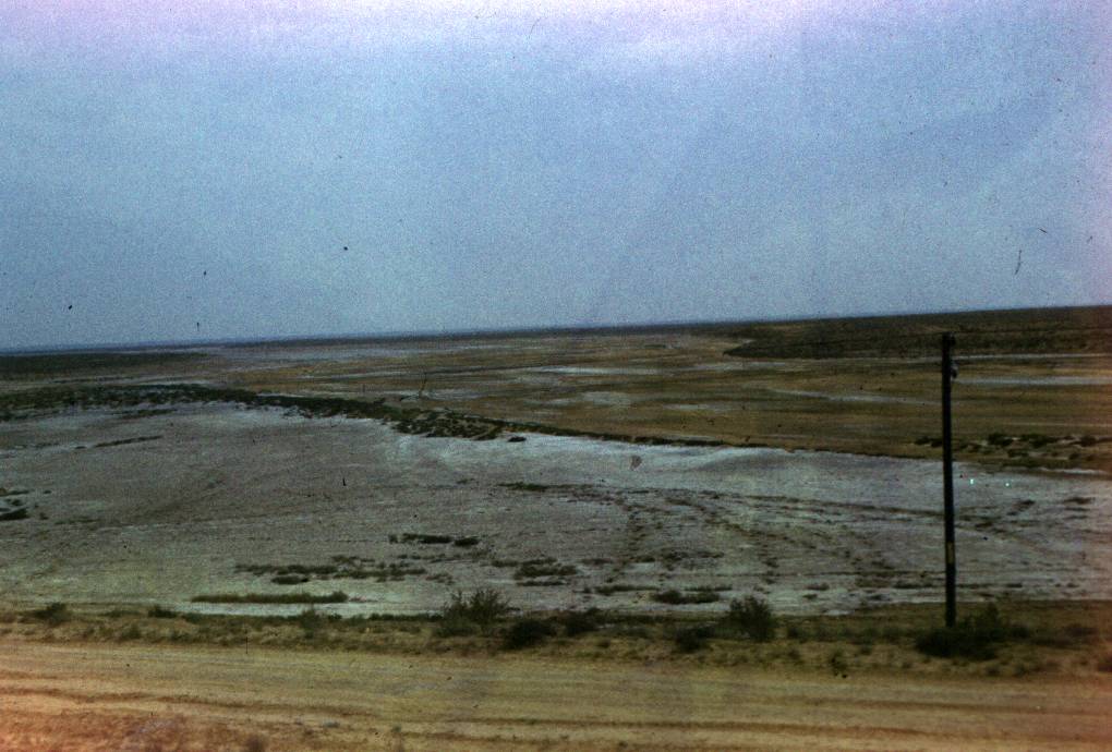 153.JPG