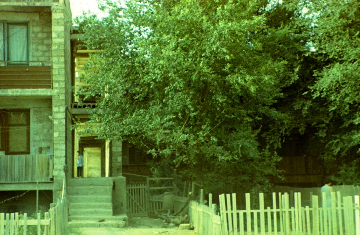 159.JPG