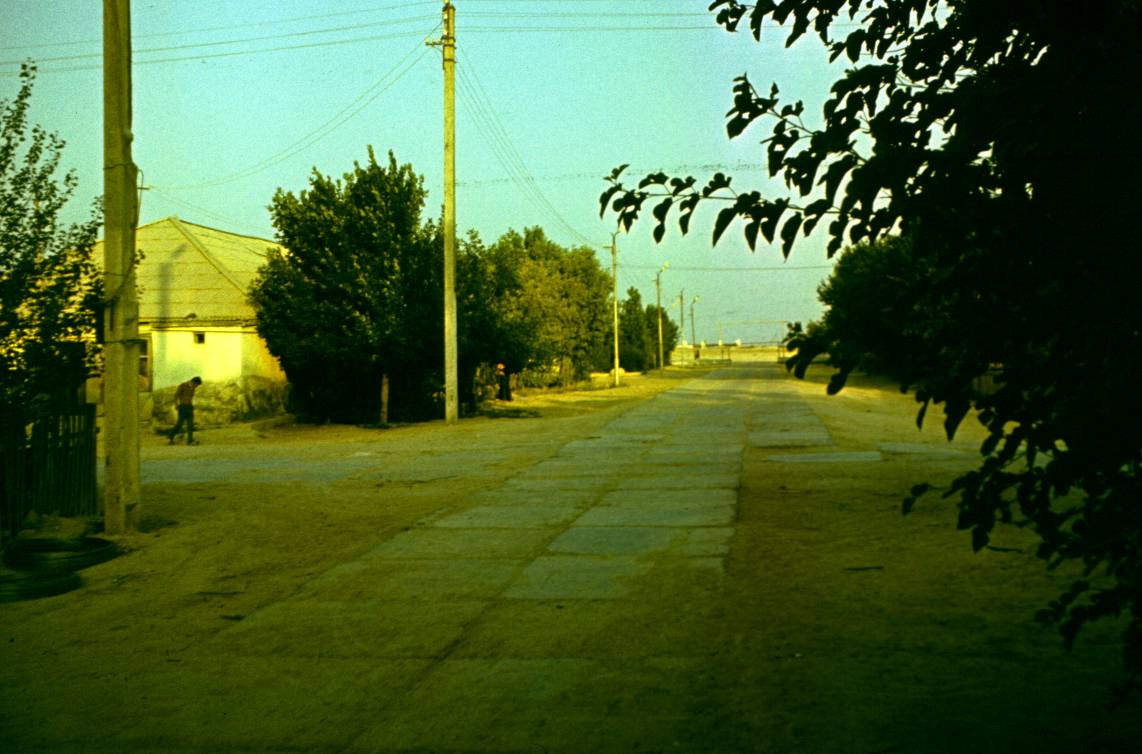 165.JPG