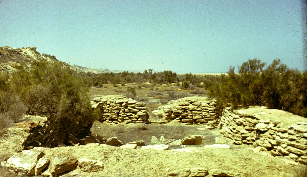 189.JPG