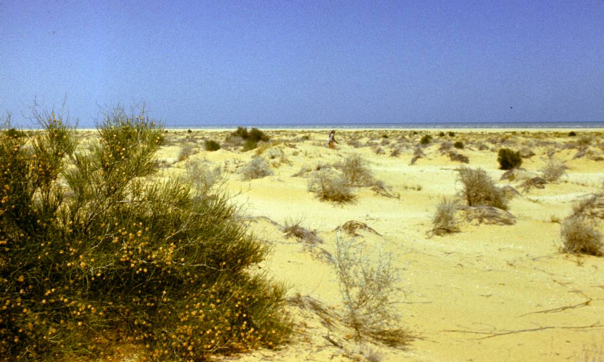206.JPG