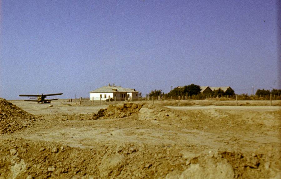 217.JPG