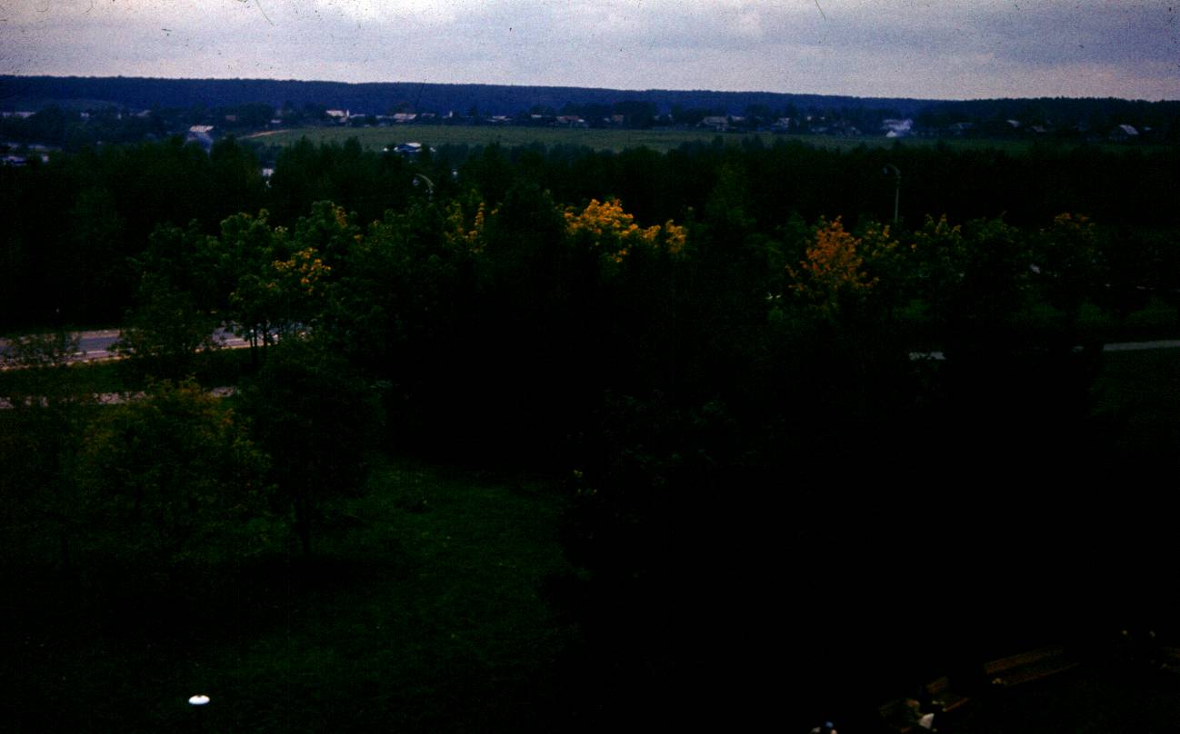 010.JPG