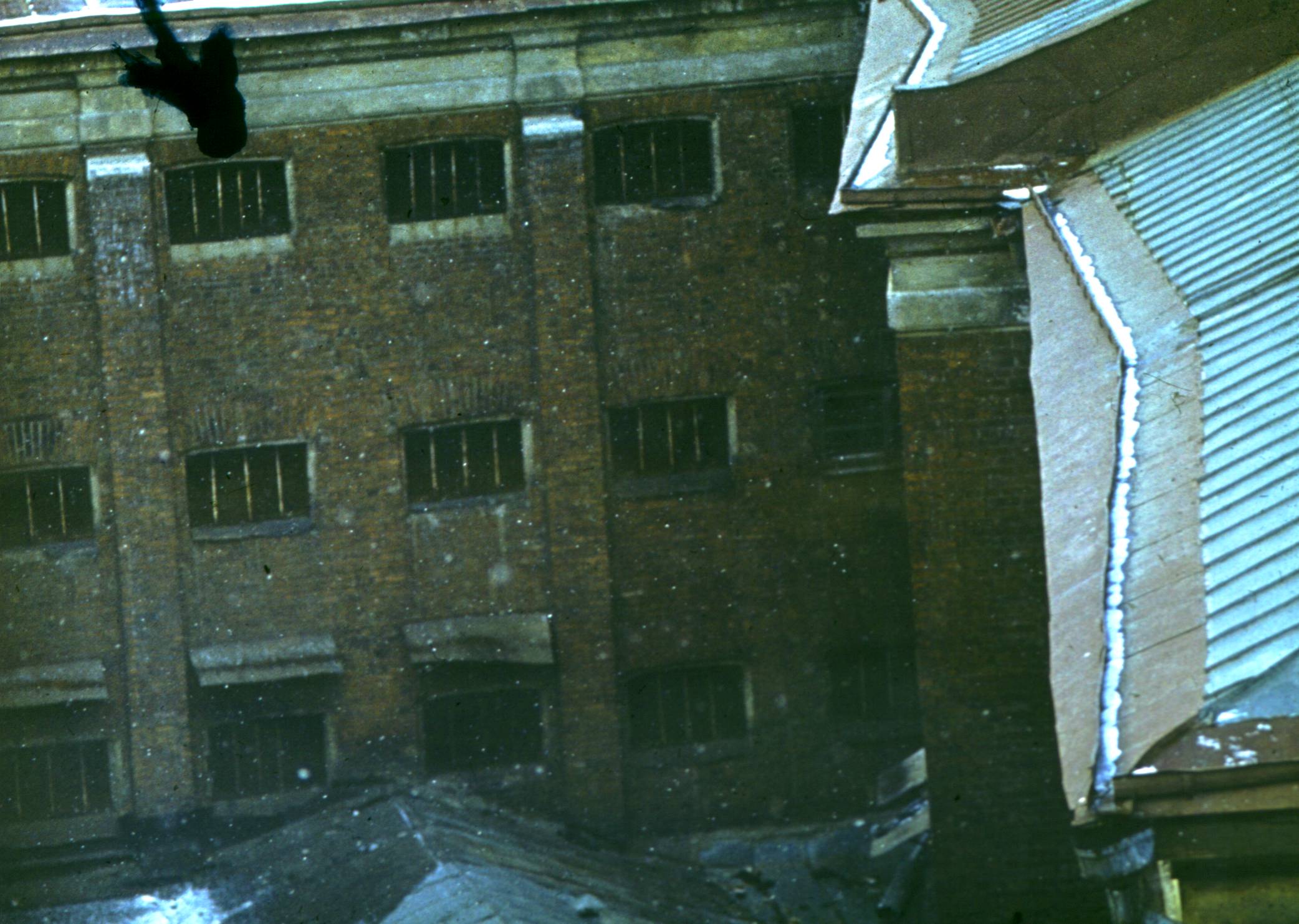 057.JPG