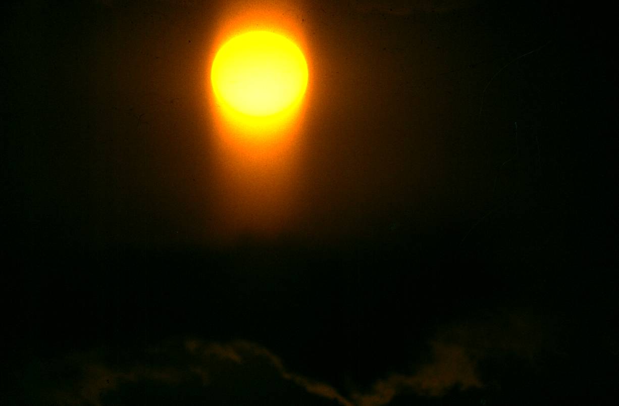 145.JPG