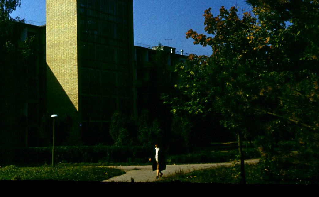 154.JPG