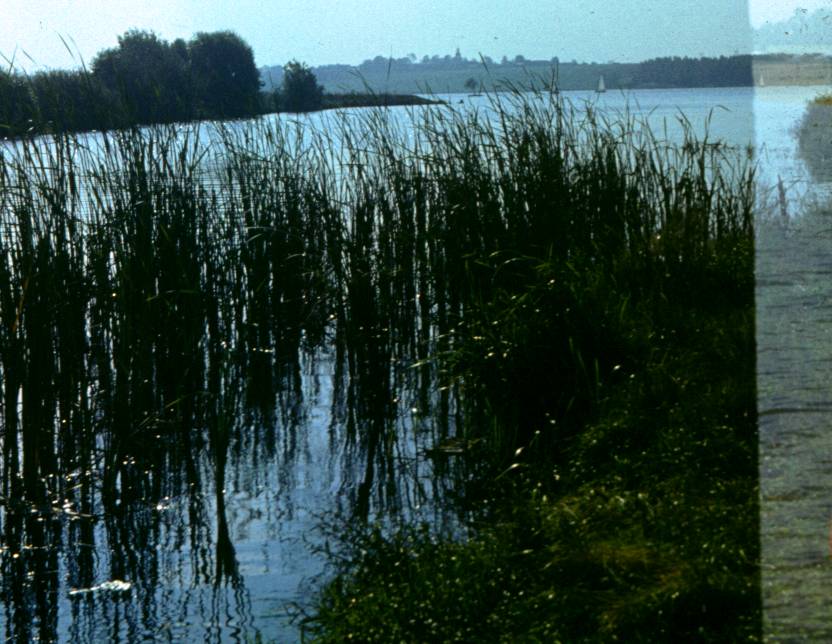 165.JPG