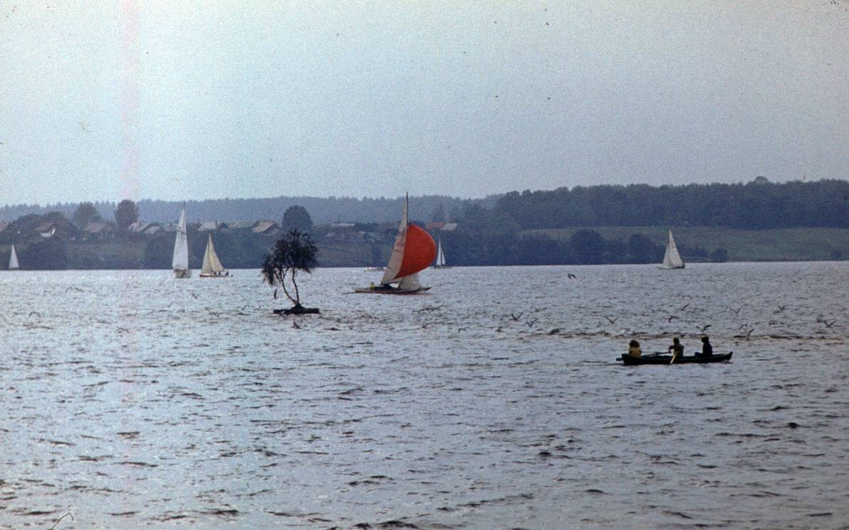 171.JPG