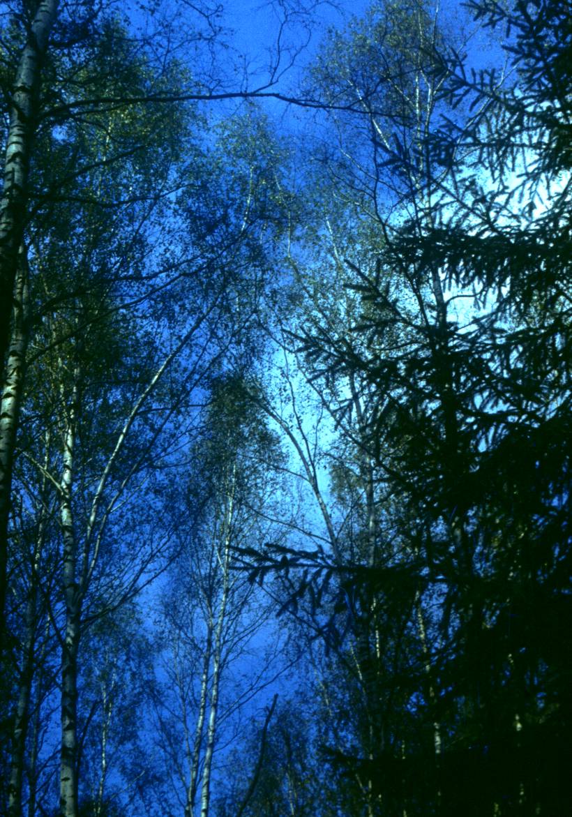 172.JPG