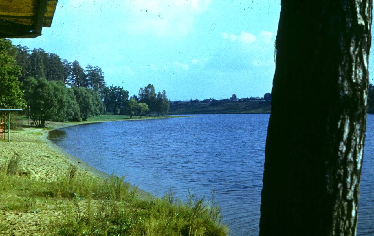 173.JPG