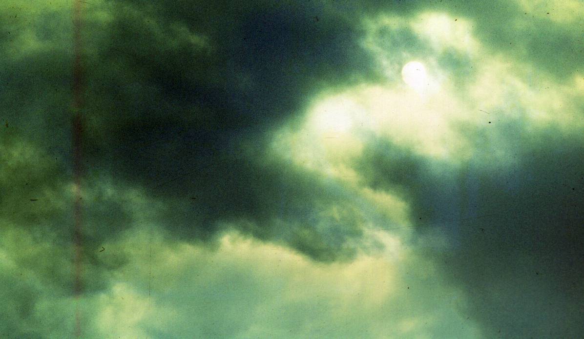 184.JPG