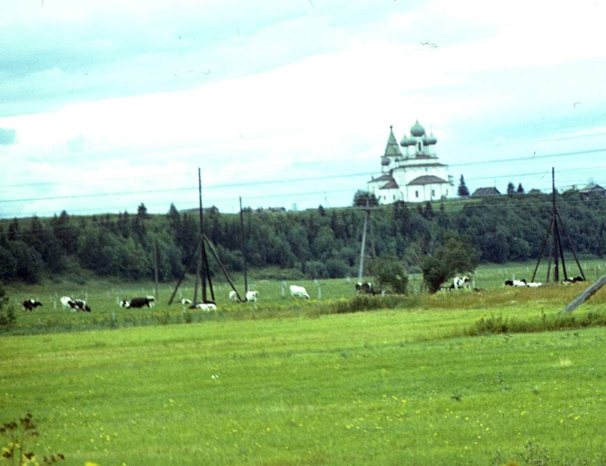 165.jpg