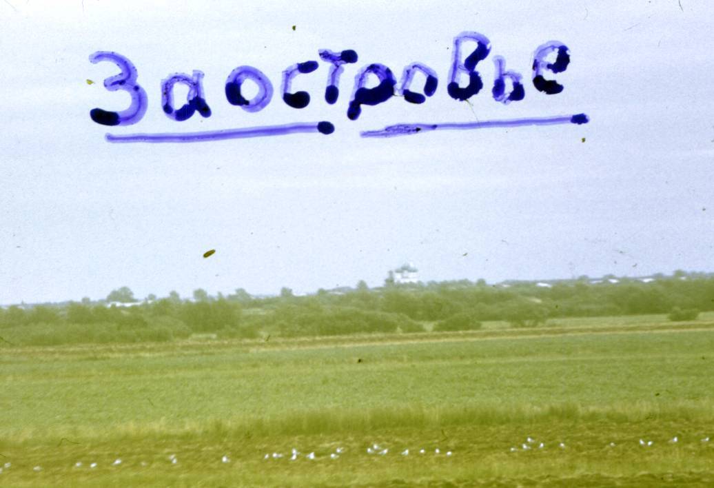175.jpg