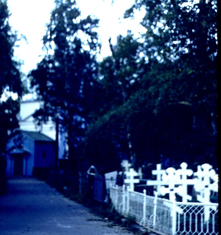 201.jpg