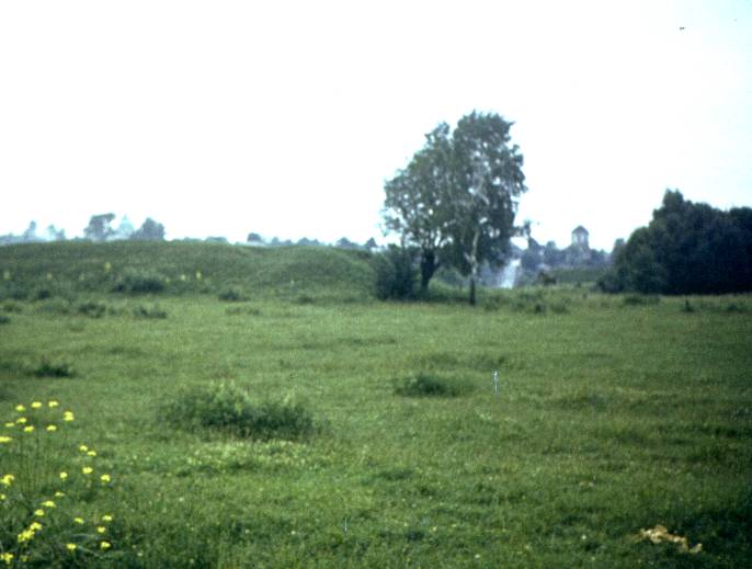 045.jpg