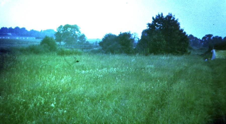 110.jpg