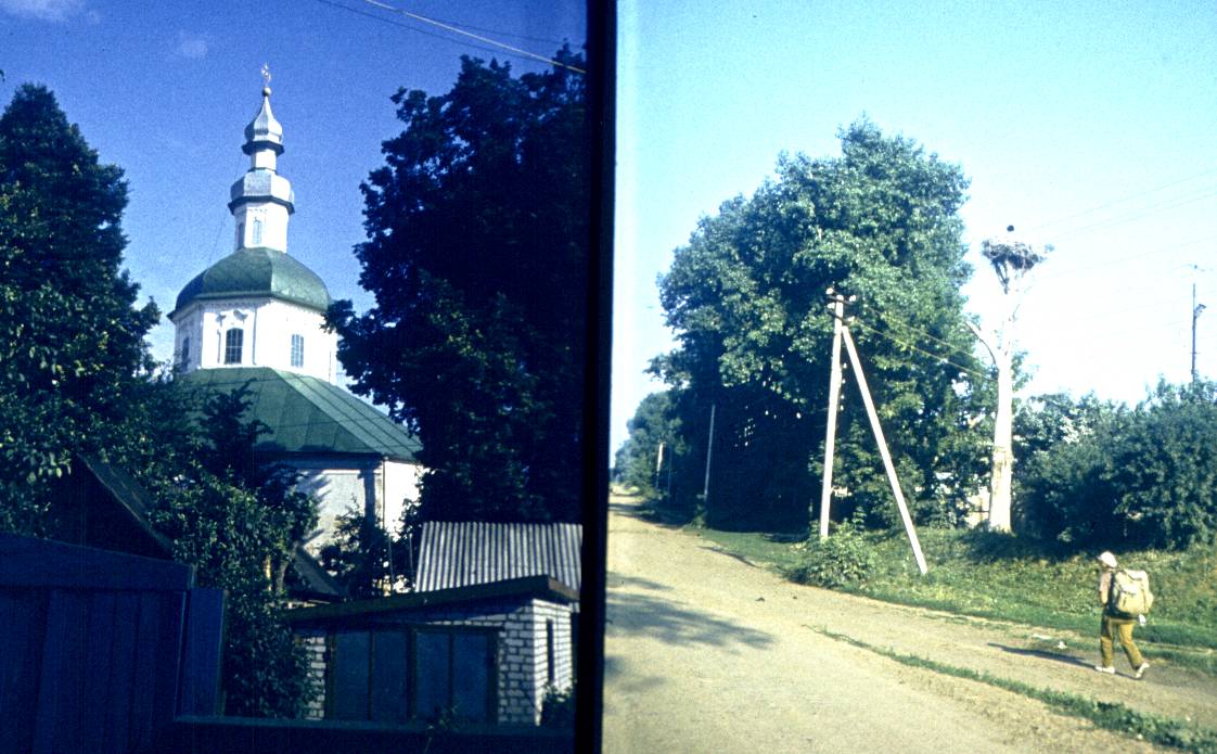 113.jpg