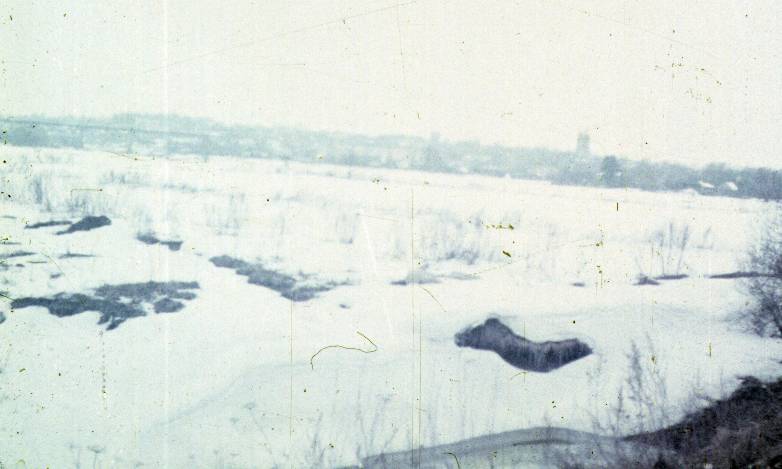 125.jpg