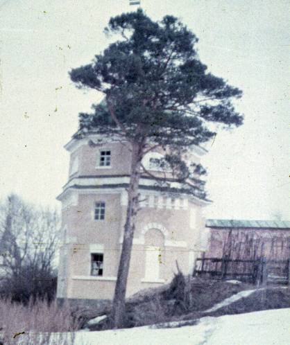141.jpg
