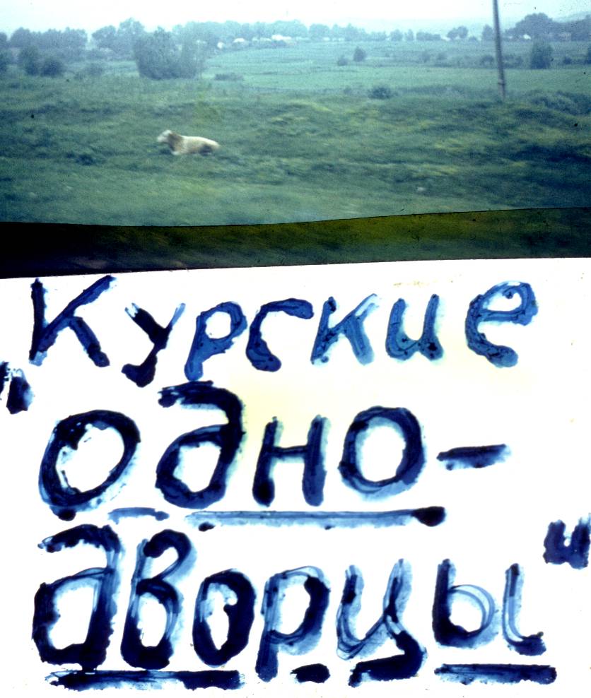 005.jpg