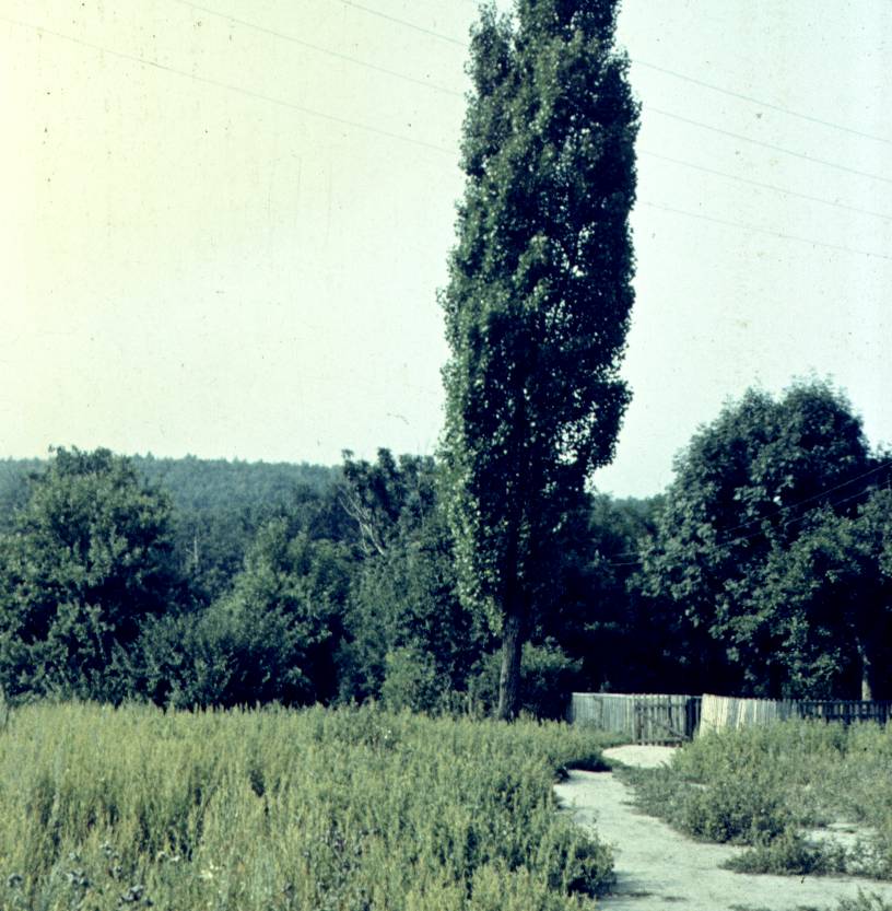 011.jpg