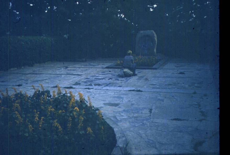 034.jpg