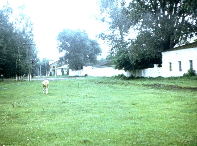 090.jpg