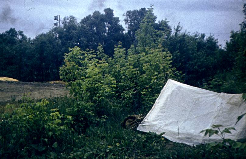 010.jpg