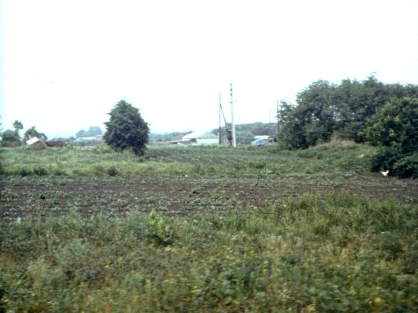 021.jpg