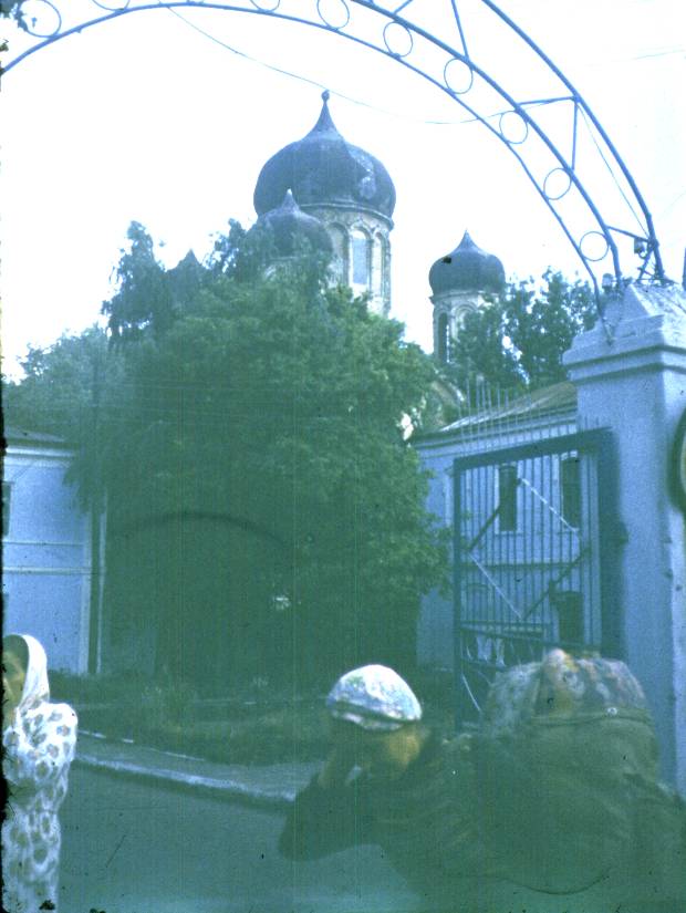 081.jpg