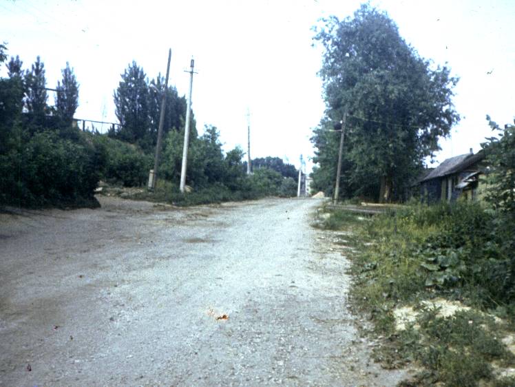 116.jpg