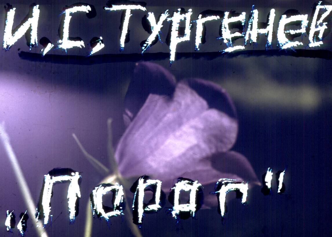 135.jpg