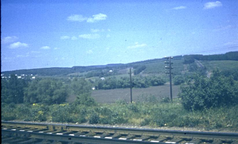 006-1.jpg