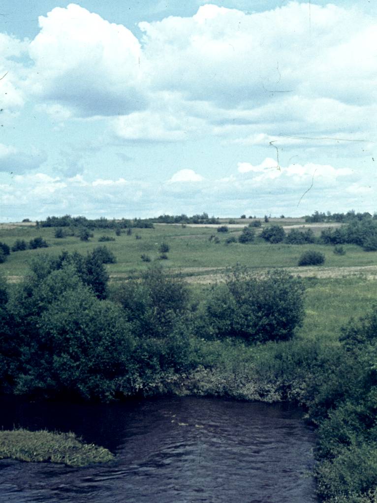 010.jpg