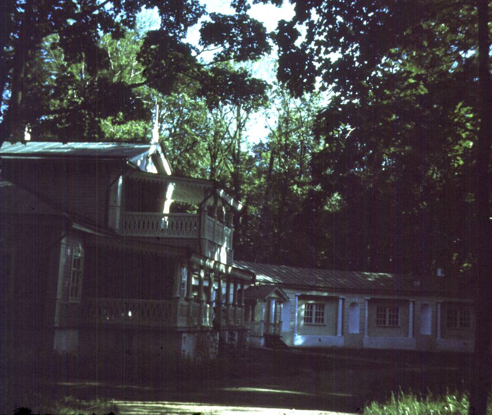 033.jpg