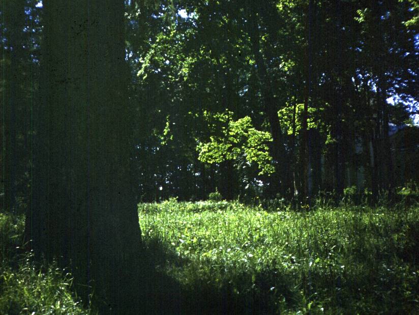 034.jpg